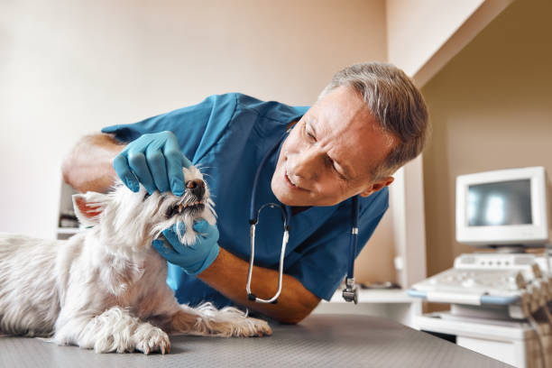 Best After-Hours Dental Care in Lutcher, LA